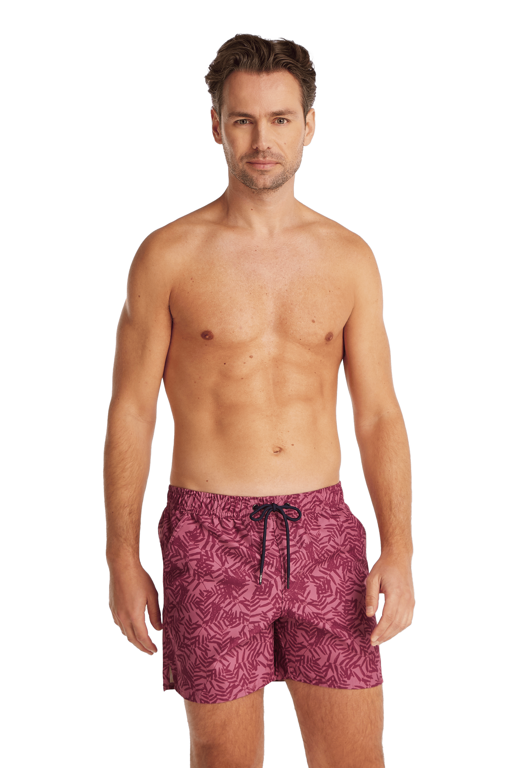 Zwembroek summer leaves 