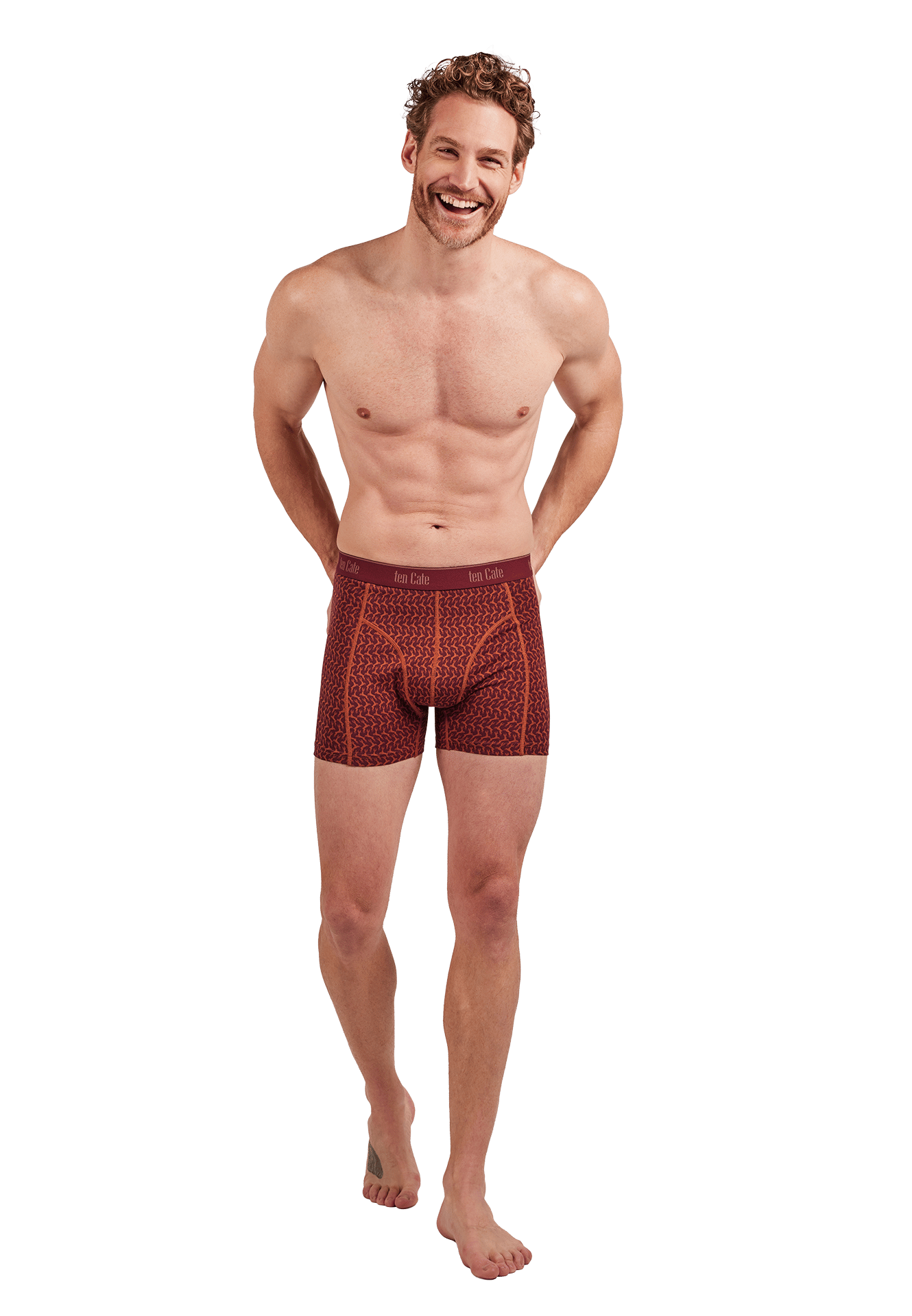 Boxer jumping deer dahlia 2-pack