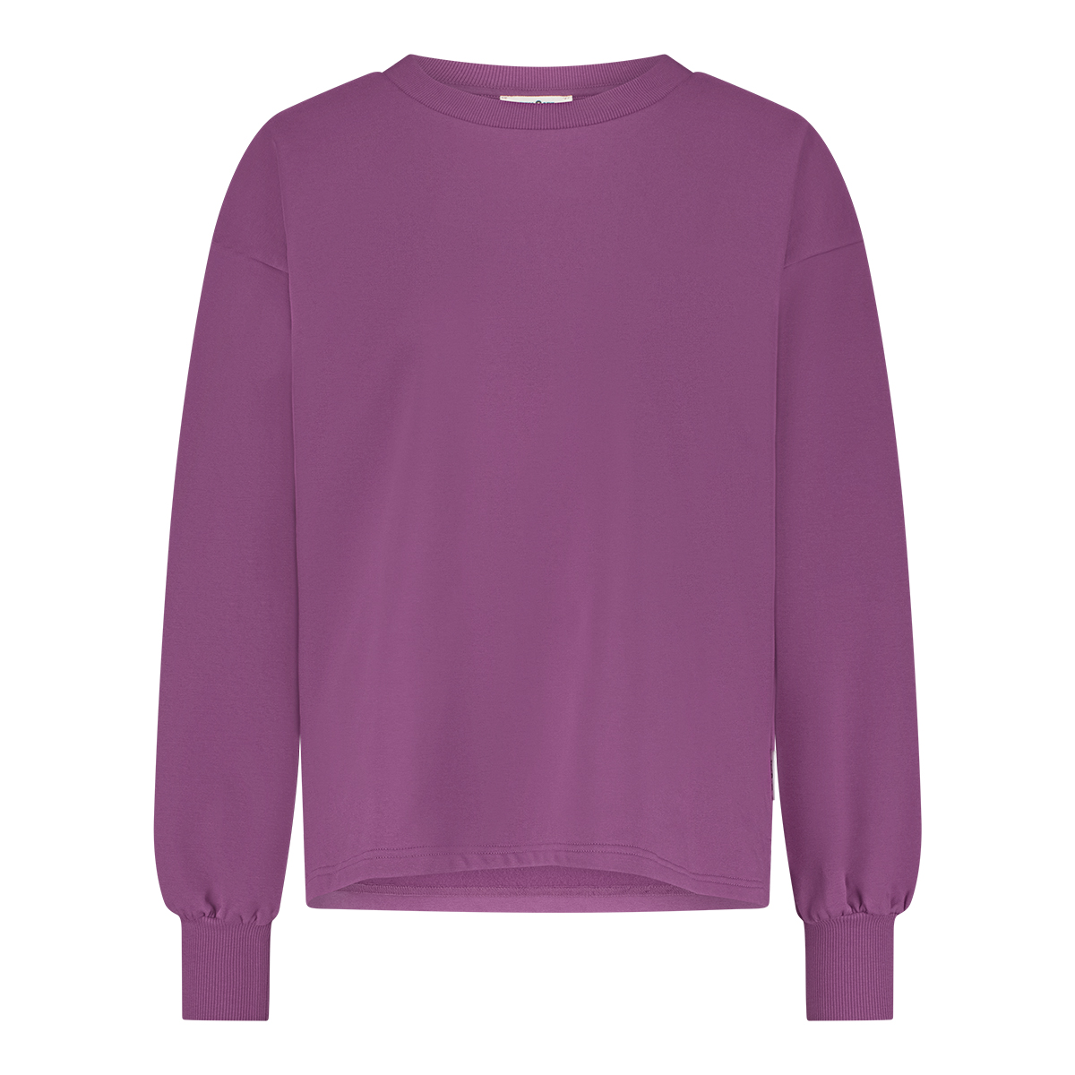 Lounge pak purple orchid  Lounge pak purple orchid