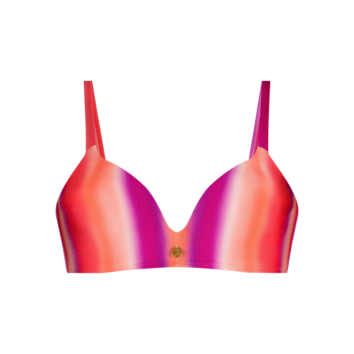 Plunge bikini top gradient
